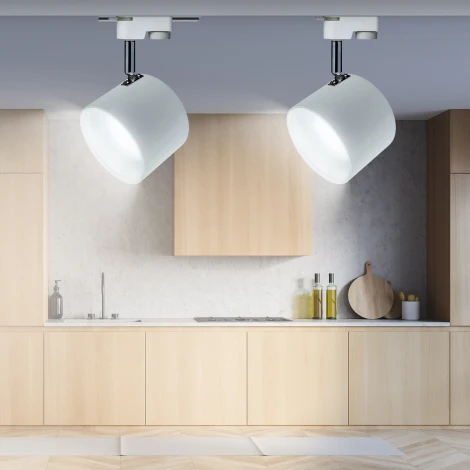 Трековый светильник ЭРА TR15 GX53 WH/SL (220V)