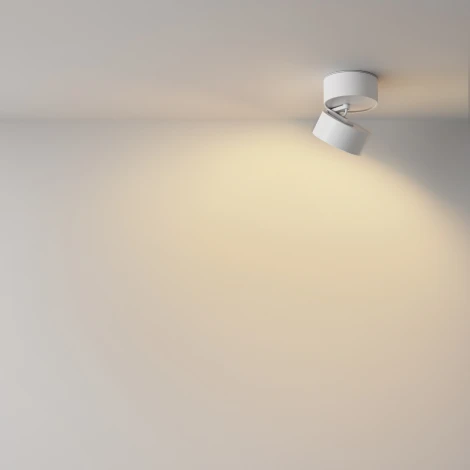 Накладной потолочный светильник Maytoni Onda C024CL-12W2.7K-W-1 (LED, 220V, круглые)