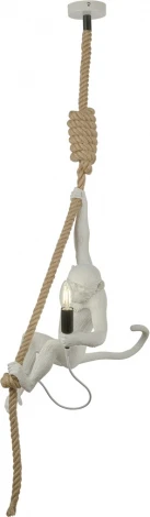 Подвесной светильник Мелодия Света PS1N 000062582