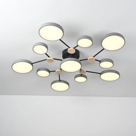 Потолочная люстра с пультом на штанге LED Lu Carte LC-11-1719