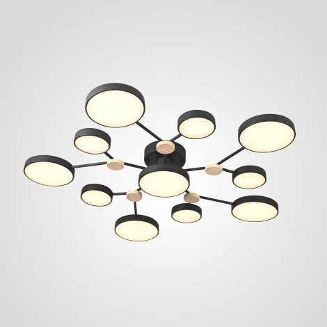 Потолочная люстра на штанге Gamma D102 Black Imperiumloft Gamma01 (223770-23) (LED, 220V, пульт управления, круглые)