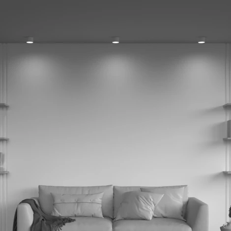 Потолочный светильник Nuvolt Nidu LDL-001W