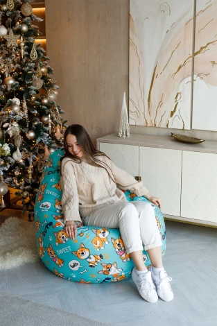 Кресло мешок Dreambag Груша Корги (3XL, Классический) 5028241
