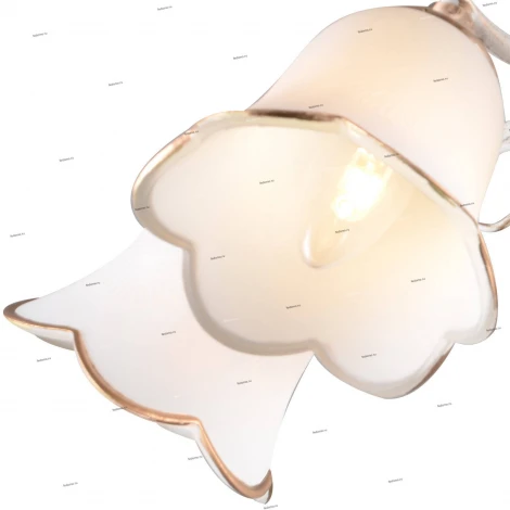 Потолочная люстра J-Light Cynthia 1073/5C