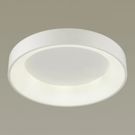 Потолочный светильник Odeon Light Sole 4066/40CL