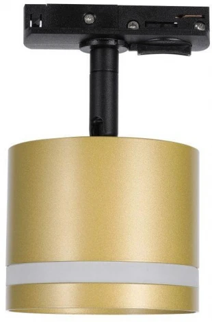 Трековый светильник однофазный 220V Lucia Tucci Paganini LTP-T001-01GX53-G