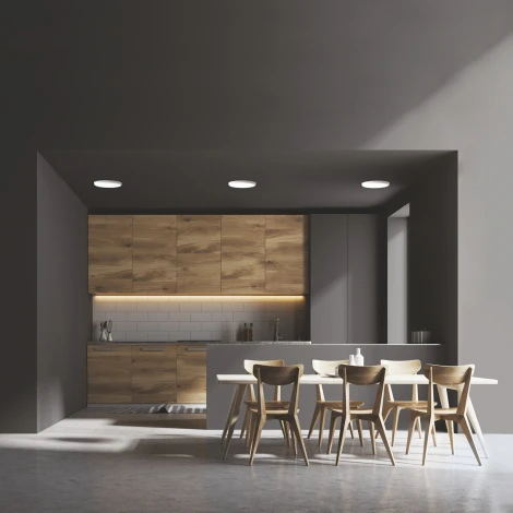 Встраиваемый светильник светодиодный Frameless 967511224 (220V, круглые)