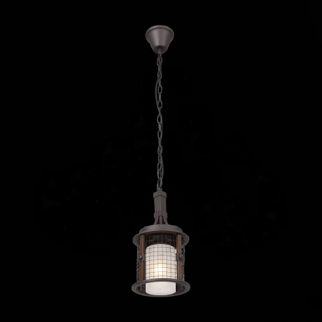 Подвесной светильник ST Luce Ivanhо SL266.303.01