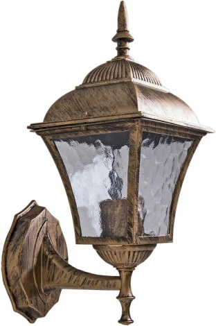 Настенный фонарь уличный Reluce 08243-0.2-001W BKG (220V, фонарь, IP44)