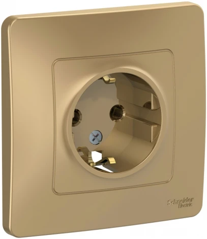 Розетка встраиваемая с заземлением (титан) Systeme Electric Blanca BLNRS001014