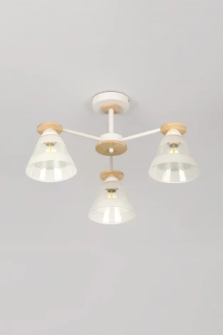 Потолочная люстра на штанге Rivoli Theothila 9177-303