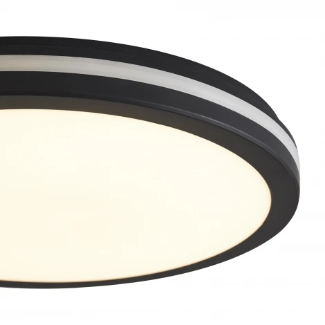 Потолочный светильник светодиодный Freya Rua FR6160CL-L40B 40Вт LED