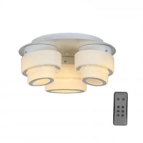 Потолочный светильник ST Luce Ovale SL546.502.03