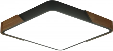 Потолочный светильник Zortes Alberro ZRS.01288.48 (LED, 220V)