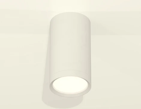 Накладной точечный светильник Ambrella Techno Spot XS8161001 (220V, круглые)