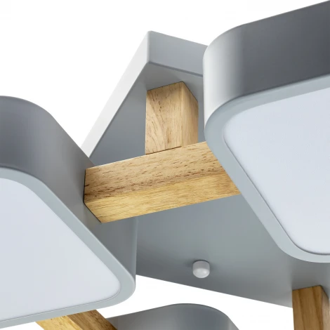 Потолочный светодиодный светильник Ritter Scandia 52073 3