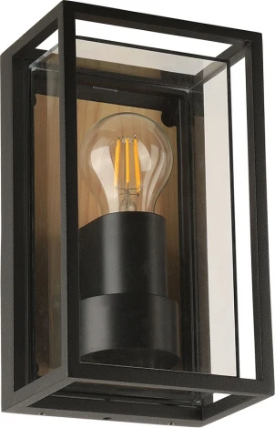 Настенный уличный светильник Arte Lamp A2322AL-1BR (220V, IP65)