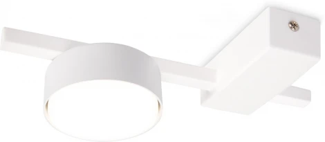 Потолочная люстра Freya Tactic FR5363CL-01W (220V, круглые)