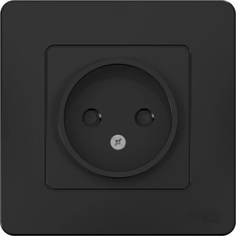 Розетка встраиваемая без заземления со шторками (антрацит) Systeme Electric Blanca BLNRS000116