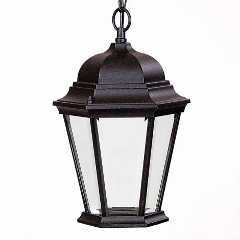 Уличный светильник подвесной Oasis Light 91405L Bl (220V, на цепи, IP44)