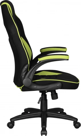 Кресло игровое DOBRIN RICK (черно-светло-зеленый)