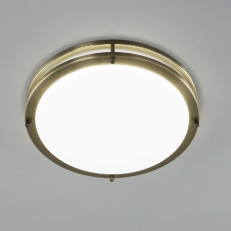 Настенно-потолочный светильник Citilux Бостон CL709323N (LED, 220V, диммер, круглые, IP44)