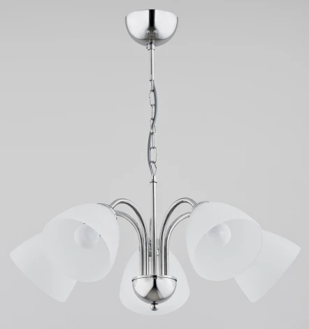 Подвесная люстра Alfa Tora 21255