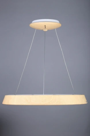 Подвесной светильник Omnilux Neoneli OML-48603-50