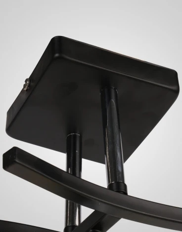 Потолочная люстра на штанге Мелодия Света 000050565