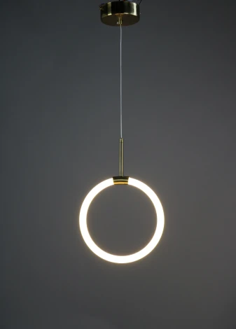 Подвесной светильник Zortes Jessy ZRS.01043.01 (LED, 220V, на проводе, кольцо)