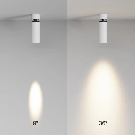 Потолочный светильник накладной Maytoni Focus Led C055CL-L12W3K-SS-W