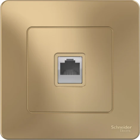 Розетка встраиваемая Ethernet RJ-45 (титан) Systeme Electric Blanca BLNIS045004