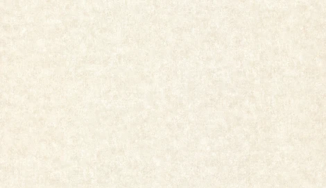 Обои виниловые Marburg Padua Classic 57308 10,05 x 1,06 м