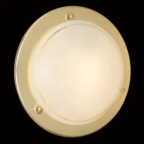 Настенно-потолочный светильник Sonex Riga 215