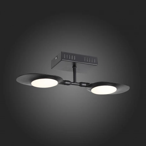 Настенно-потолочный светильник ST Luce Farfalo SL824.401.02