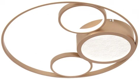 Потолочный светильник круглый F-Promo Campus 4681-4C (LED, 220V)