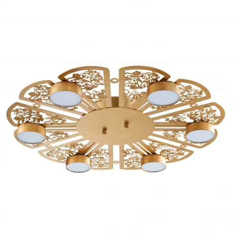 Потолочный светильник Favourite Ornamentum 2605-6C