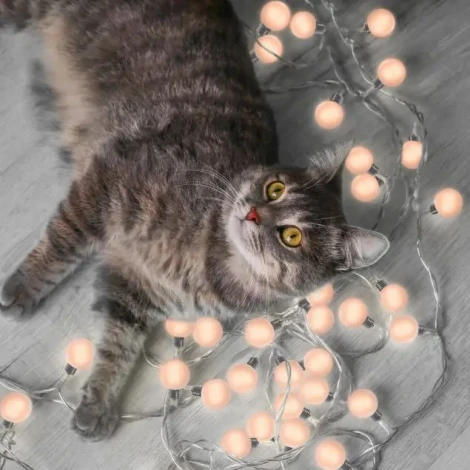 Гирлянда Gauss Solar GS034