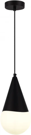 Подвесной светильник Evoluce Fiori SLE1197-403-01 Черный/Белый E27 1*40W (220V, на проводе, шар)