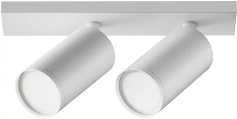 Потолочный светильник FOCUS S GU10 2x10Вт Maytoni Technical C051CL-U-2W (220V, круглые)