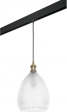 Трековый светильник однофазный 220V Lightstar Genni PRO798021