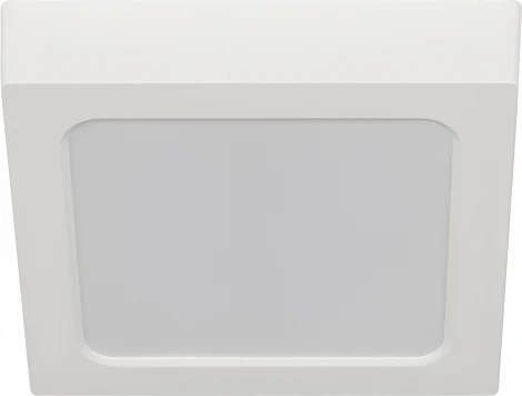 Точечный светильник светодиодный ЭРА LED 20-18-6K (220V, IP40)