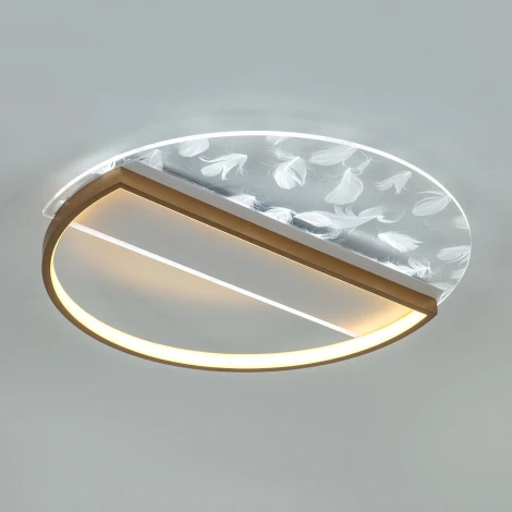 Потолочный светильник светодиодный с пультом с регулировкой цветовой температуры и яркости LED4U LED4U L1043-500 GD