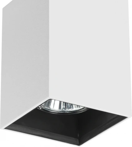 Встраиваемый точечный светильник Lightstar Ottico qua 214420 (220V)