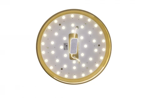 Потолочный светильник круглый со спотами Zortes Gabby ZRS.90610.40 (LED, 220V, круглые)