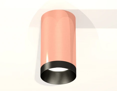 Накладной точечный светильник Ambrella Techno Spot XS6326004 (220V, круглые)