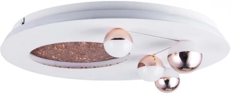 Настенно-потолочный светильник светодиодный Favourite Plaides 4630-4C (220V, шарики)