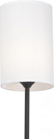 Торшер с выключателем Vitaluce V2840-1/1P (220V)