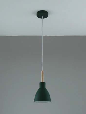 Подвесной светильник Moderli Toni V11805-1P