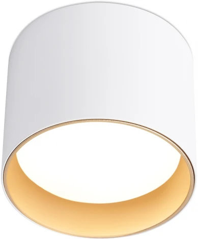 Накладной точечный светильник Ambrella Techno Spot TN5304 (220V, круглые)